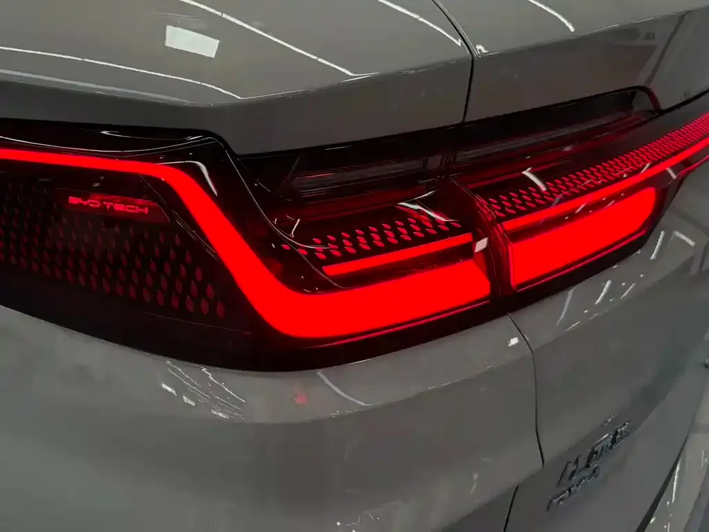 BYD PLUS New Energy — фото 10