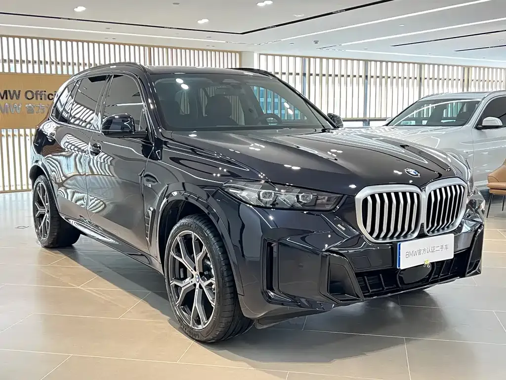 BMW X5 — фото 9