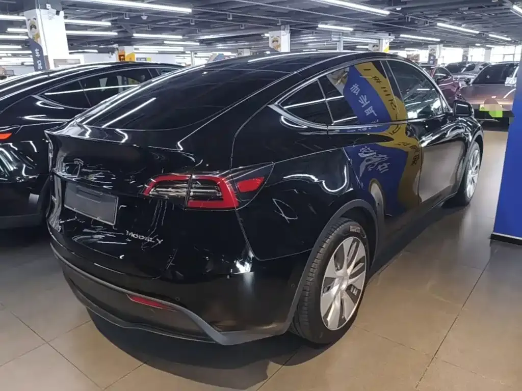 Tesla Model Y — фото 10