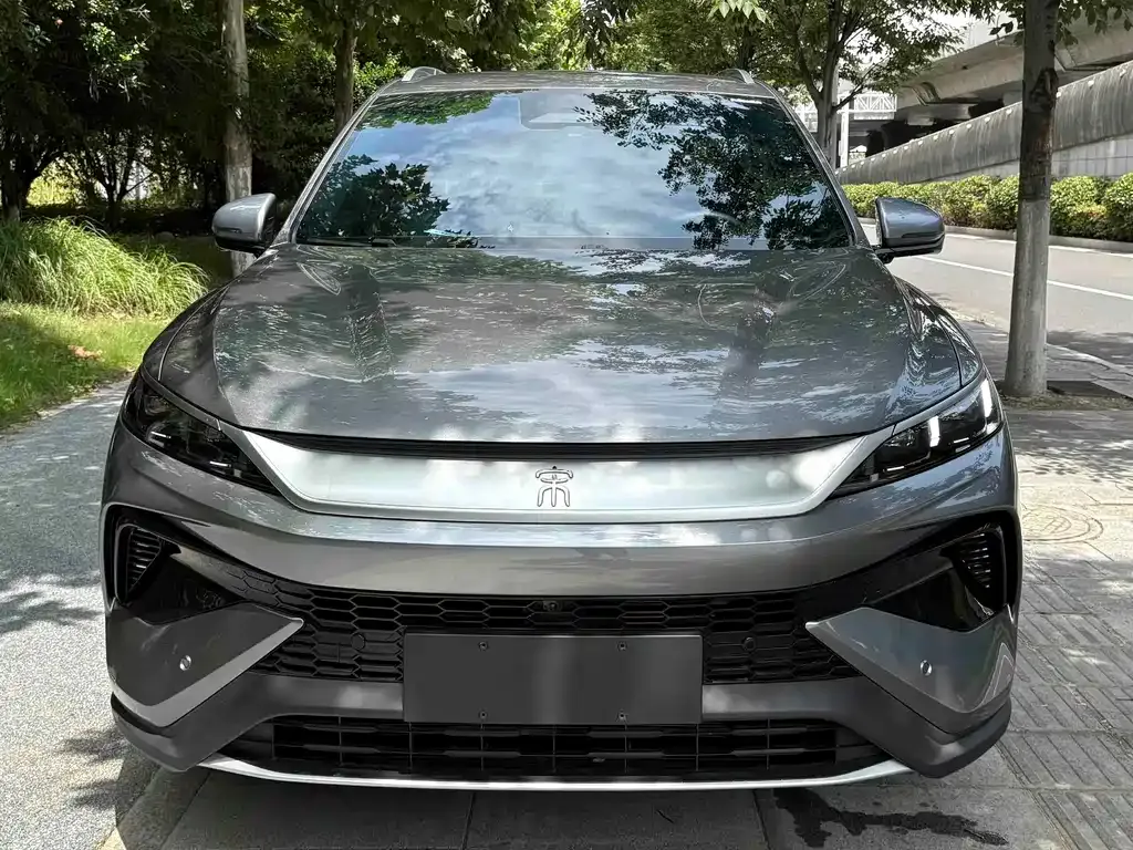 BYD Pro New Energy — фото 6