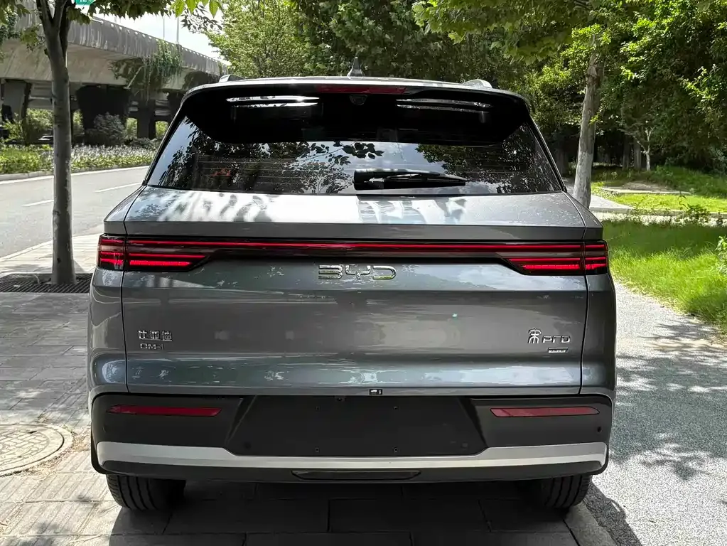 BYD Pro New Energy — фото 9