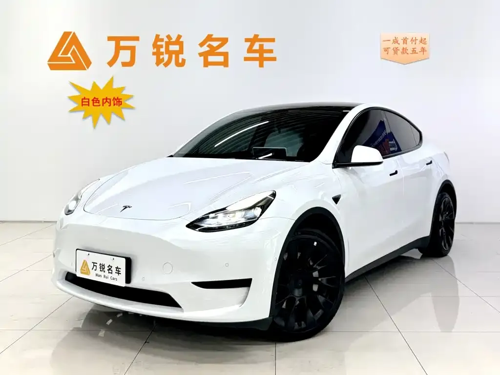 Tesla Model Y — фото 1