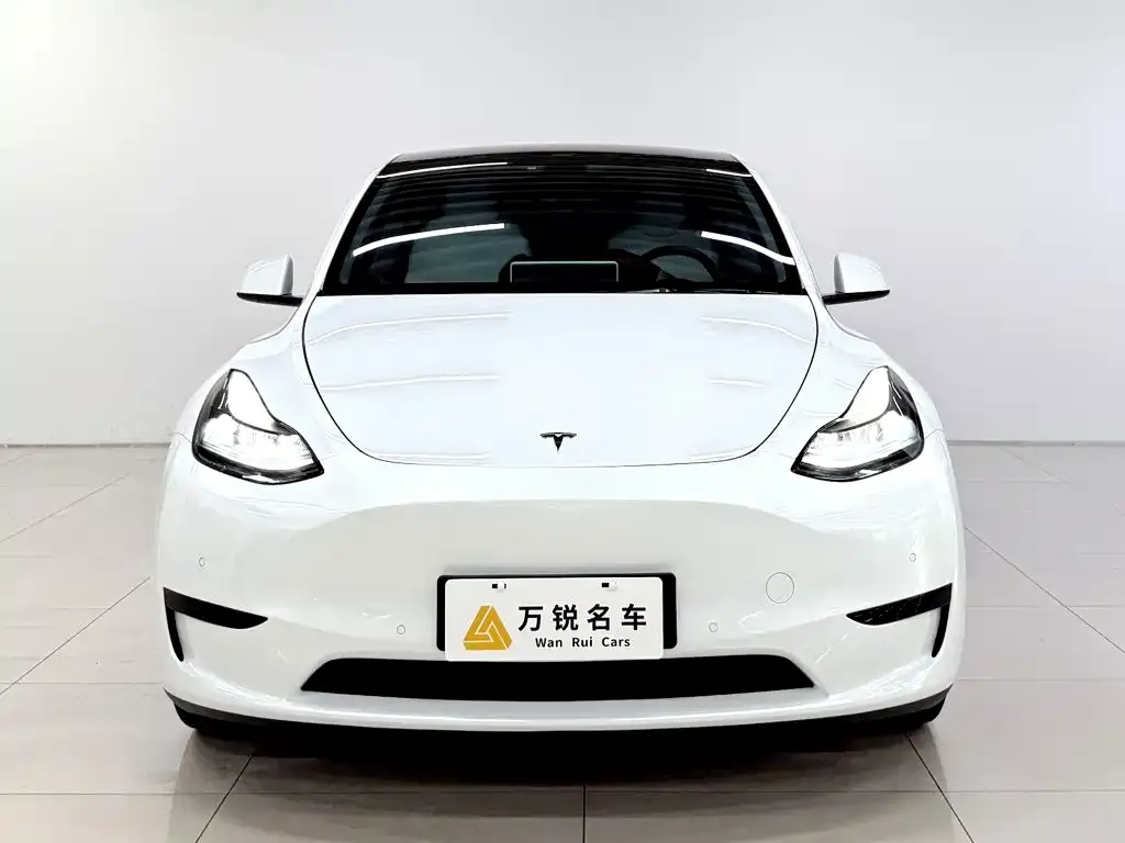 Tesla Model Y — фото 10