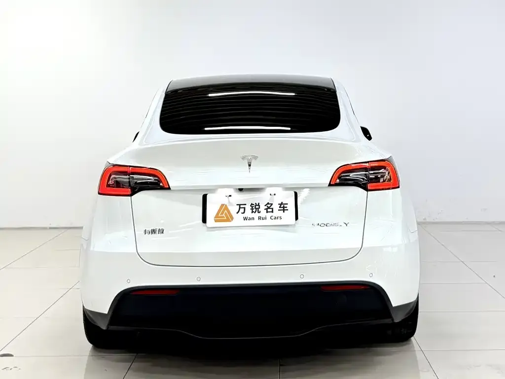 Tesla Model Y — фото 3