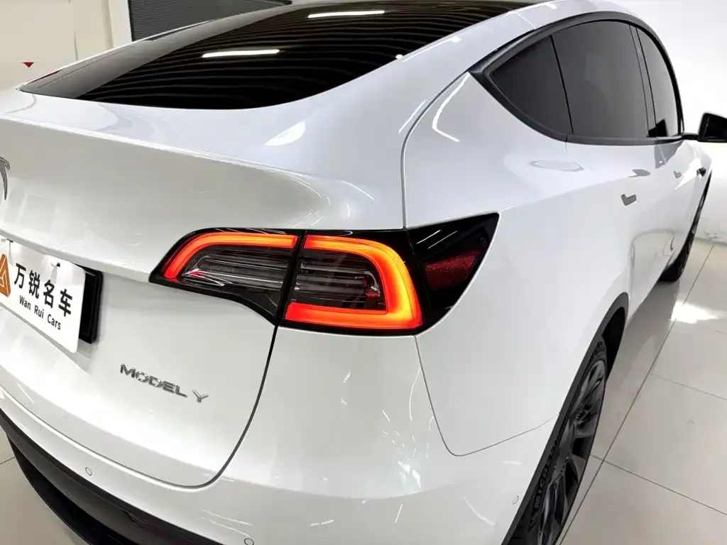 Tesla Model Y — фото 8