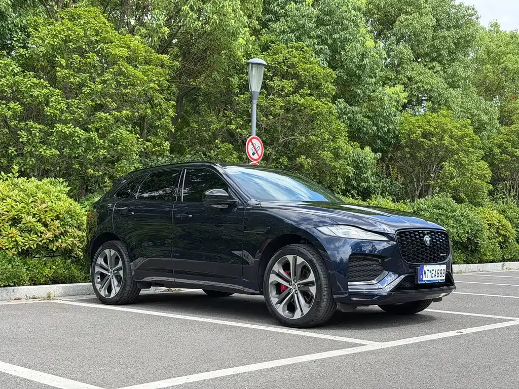 Jaguar F-PACE — фото 6