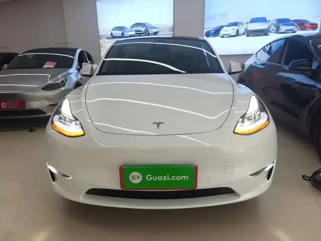 Tesla Model Y — фото 2