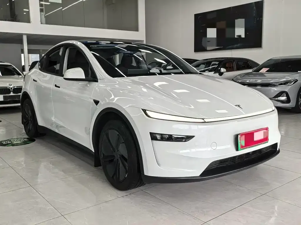 Tesla Model Y — фото 5