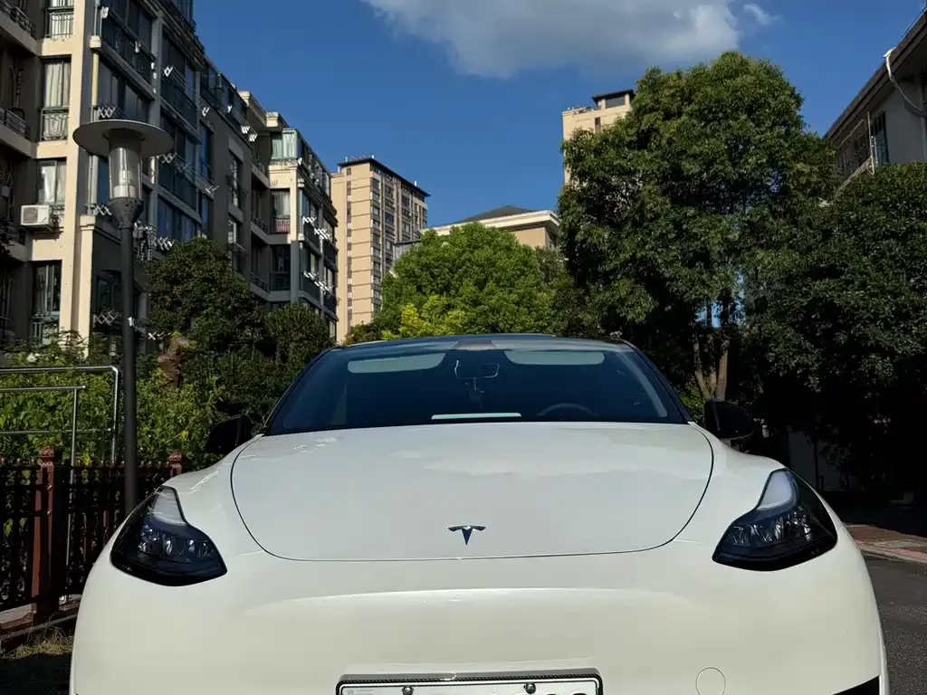 Tesla Model Y — фото 9