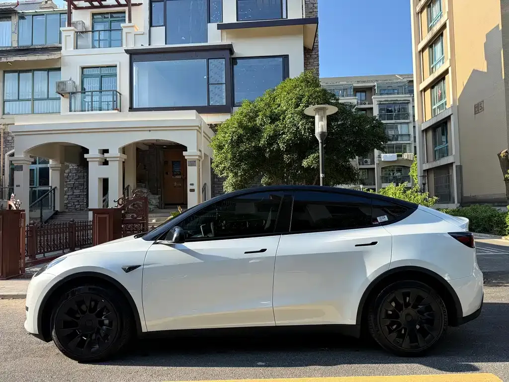Tesla Model Y — фото 7