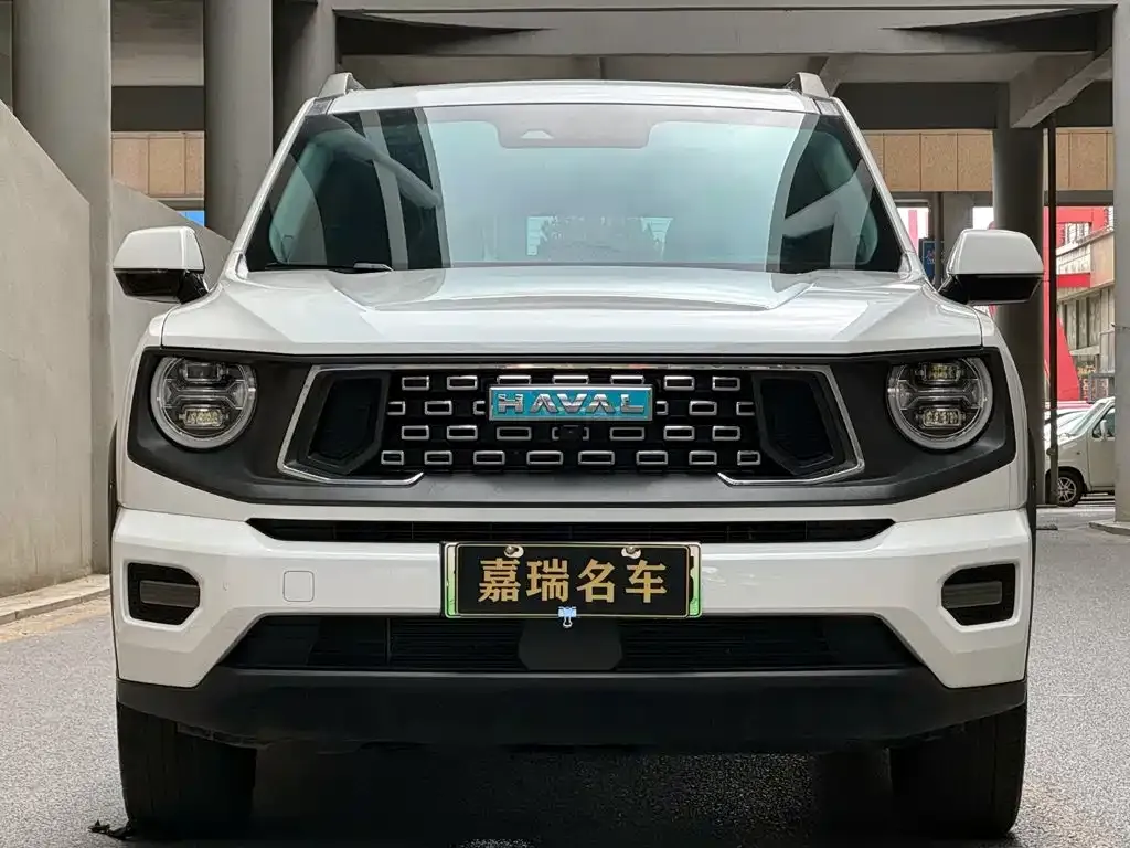 Haval H7 (Big Dog Plus) New Energy — фото 3