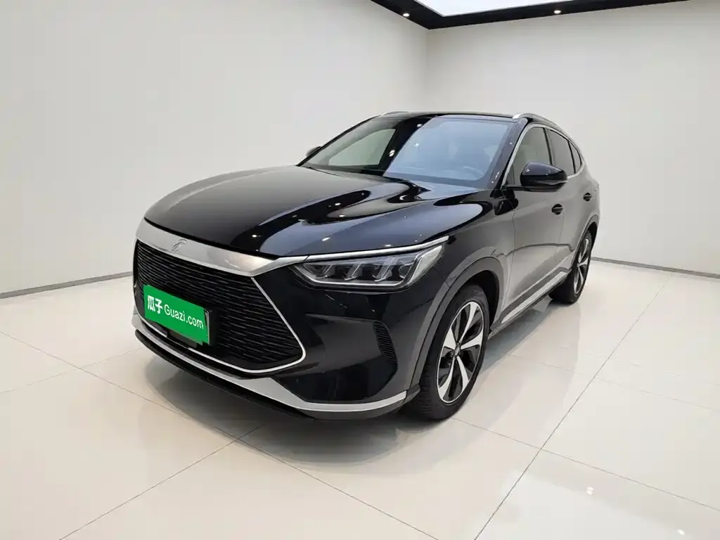 BYD PLUS New Energy — фото 1