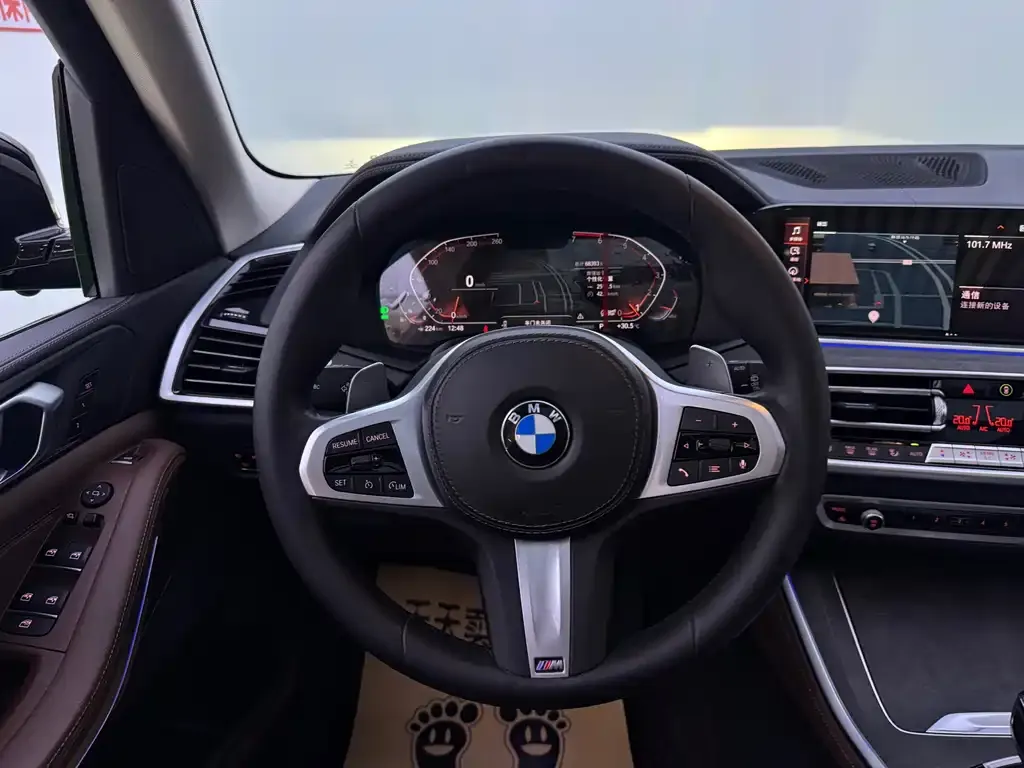 BMW X5 (Import) — фото 10