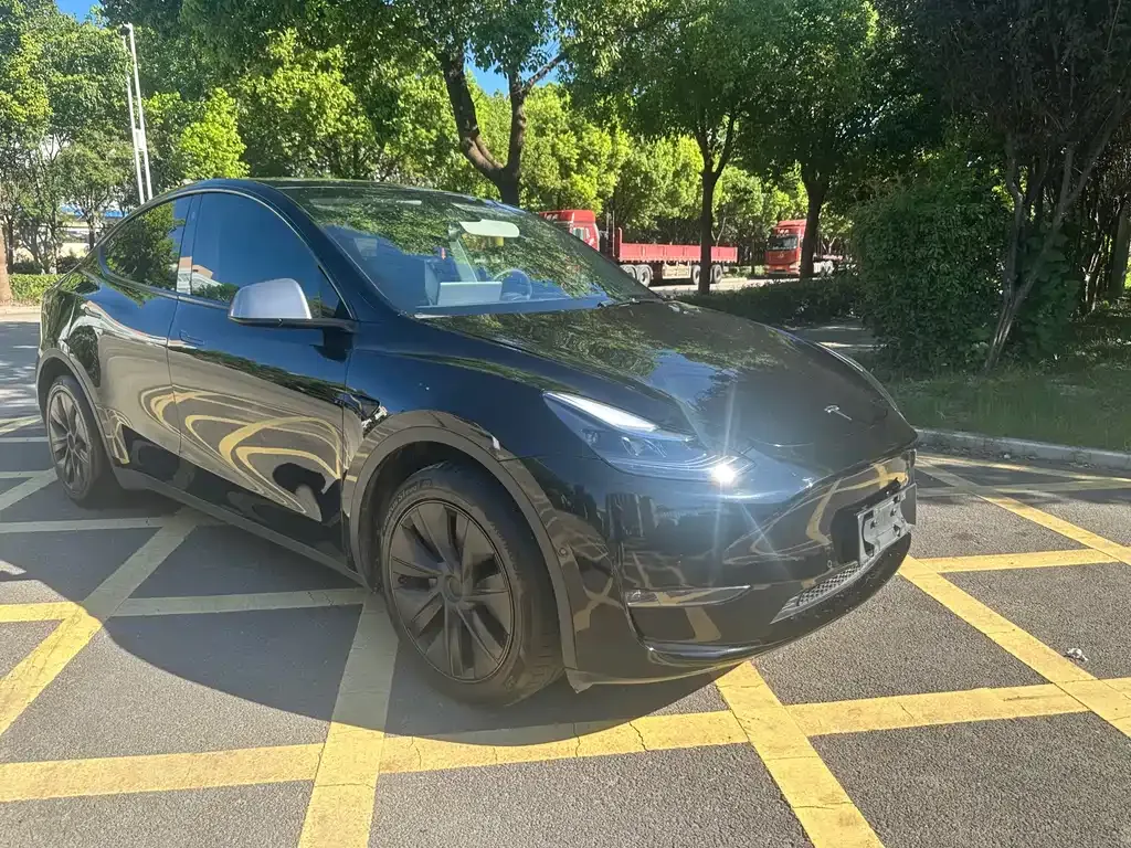 Tesla Model Y — фото 9