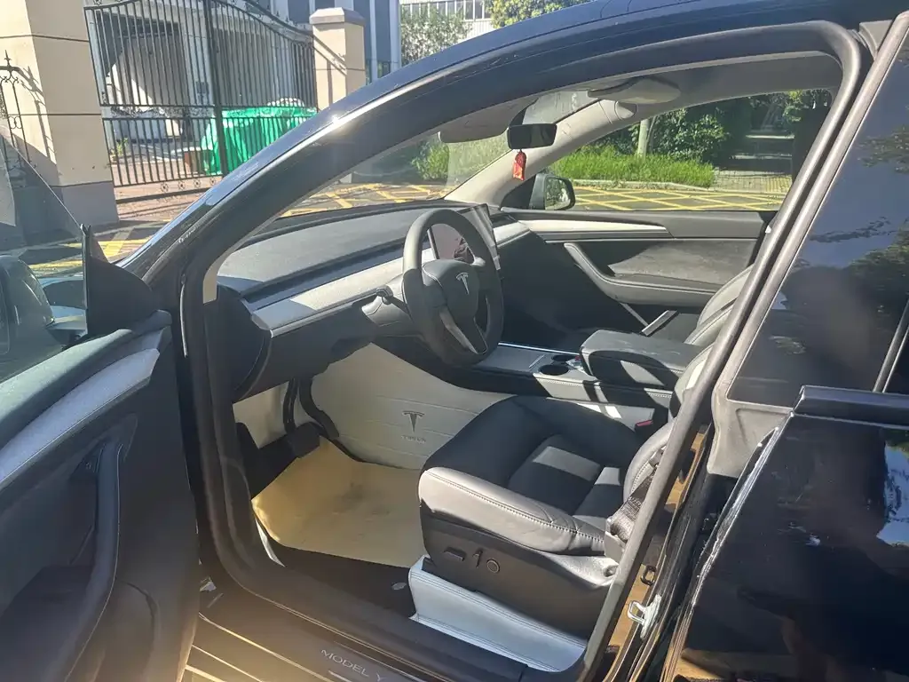 Tesla Model Y — фото 2