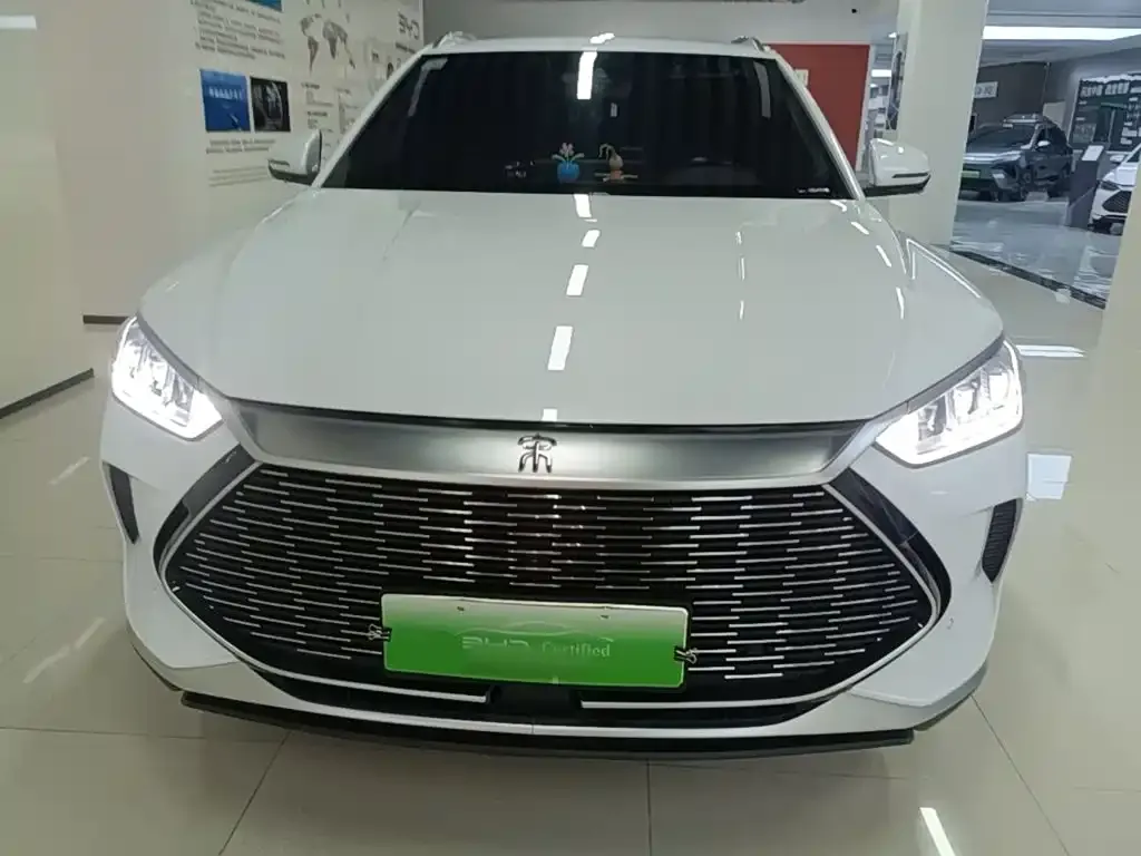 BYD PLUS New Energy — фото 5