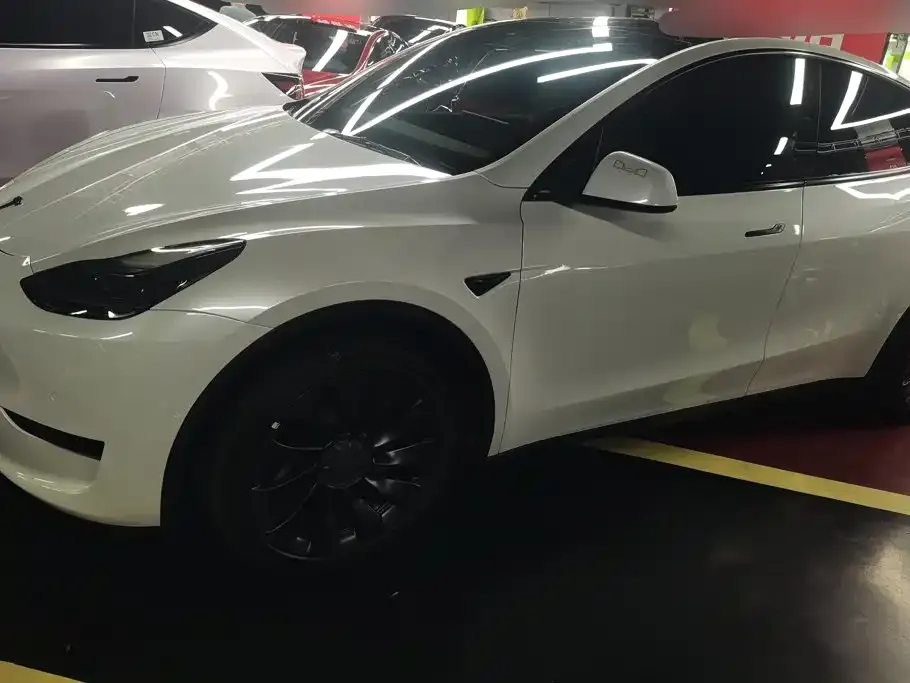Tesla Model Y — фото 1