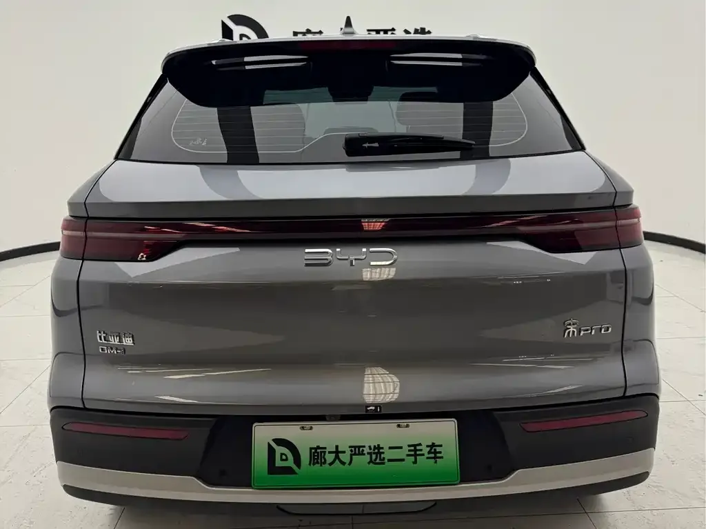 BYD Pro New Energy — фото 3