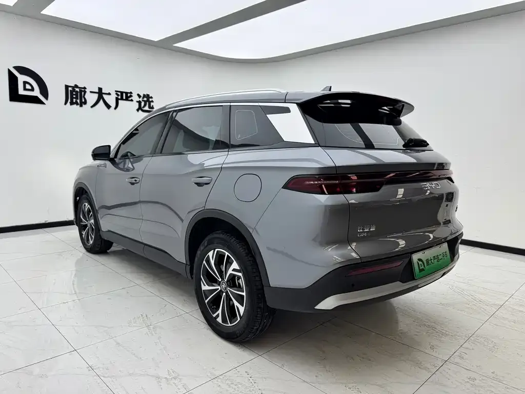 BYD Pro New Energy — фото 9