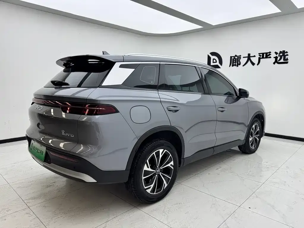BYD Pro New Energy — фото 2