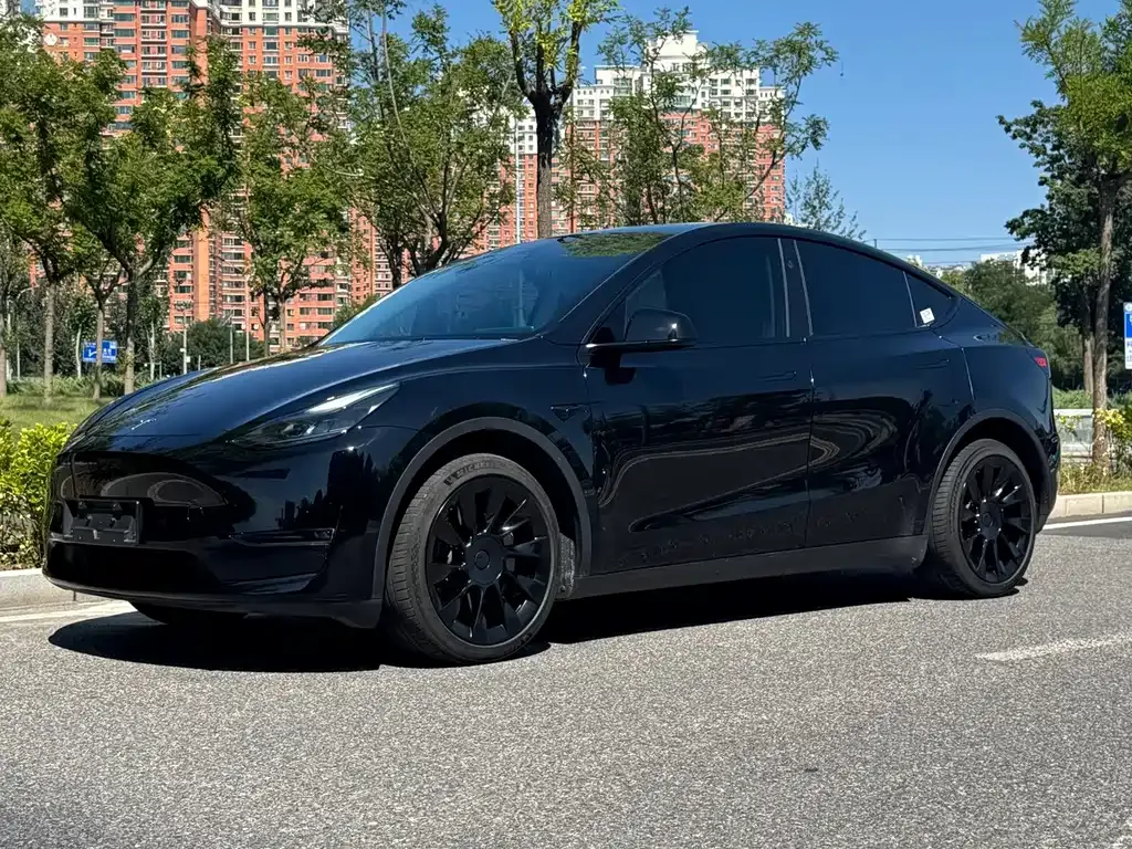 Tesla Model Y — фото 1