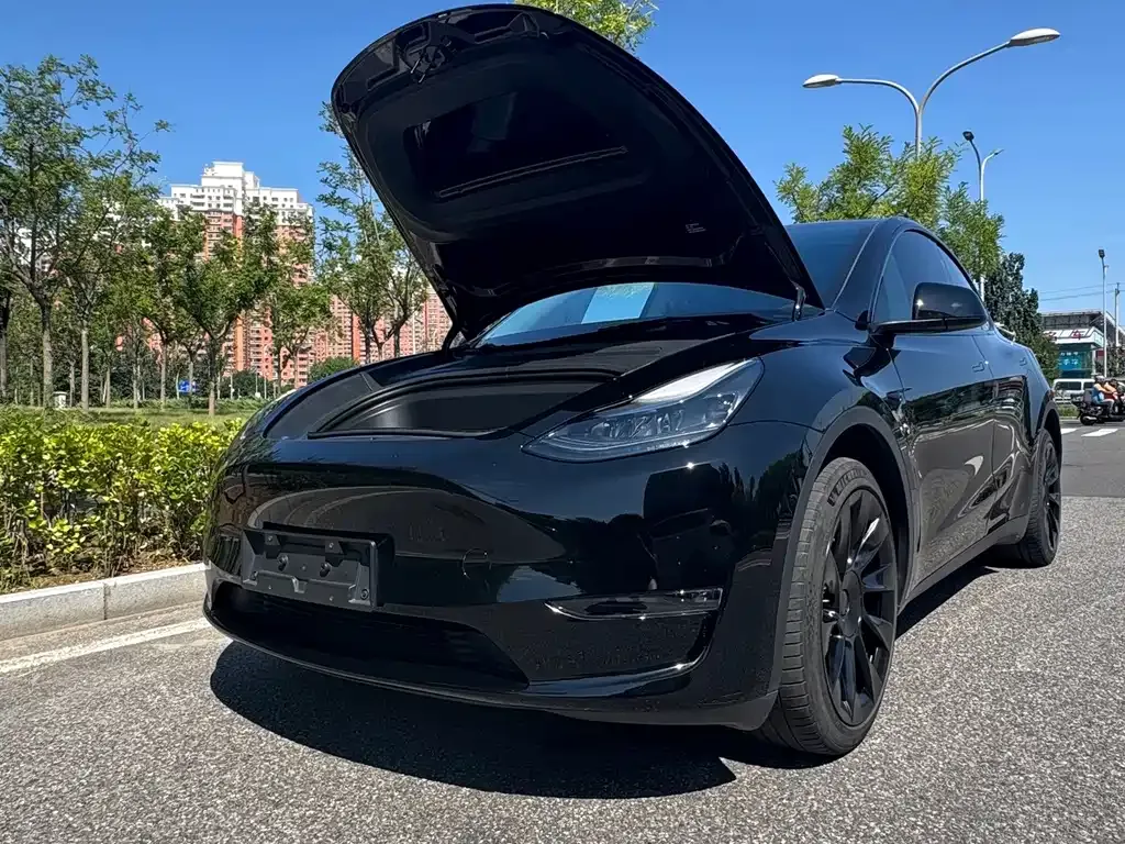Tesla Model Y — фото 7