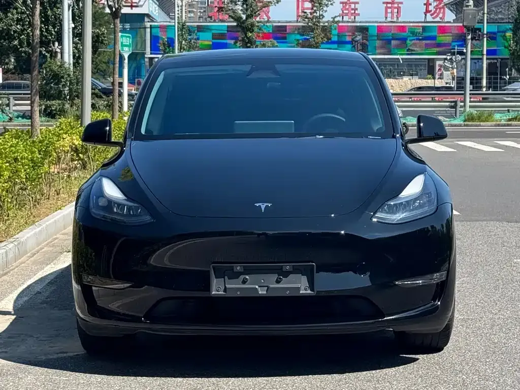 Tesla Model Y — фото 10