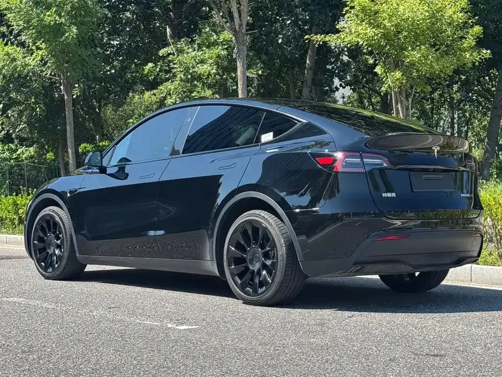 Tesla Model Y — фото 5