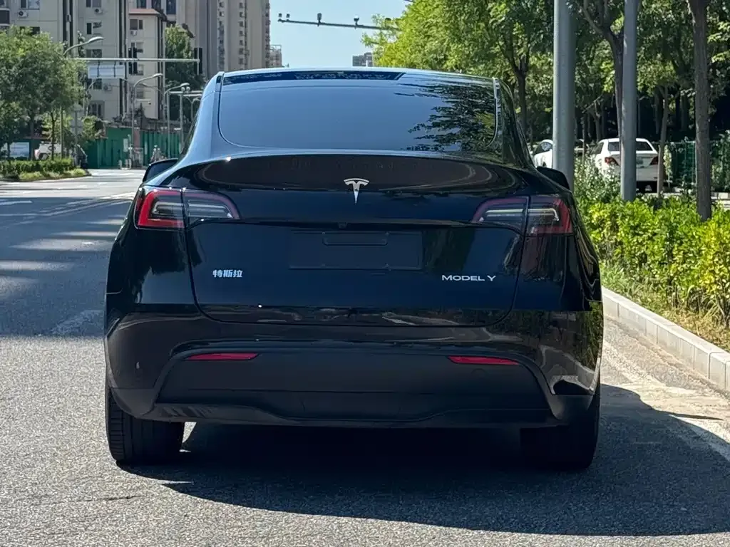 Tesla Model Y — фото 3