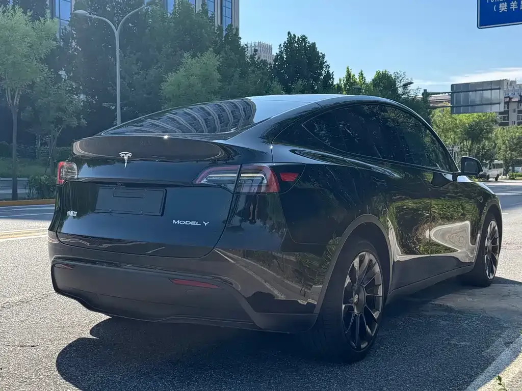 Tesla Model Y — фото 4