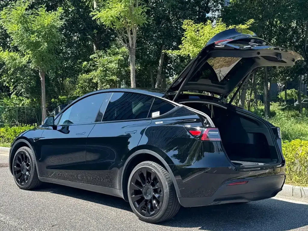 Tesla Model Y — фото 8