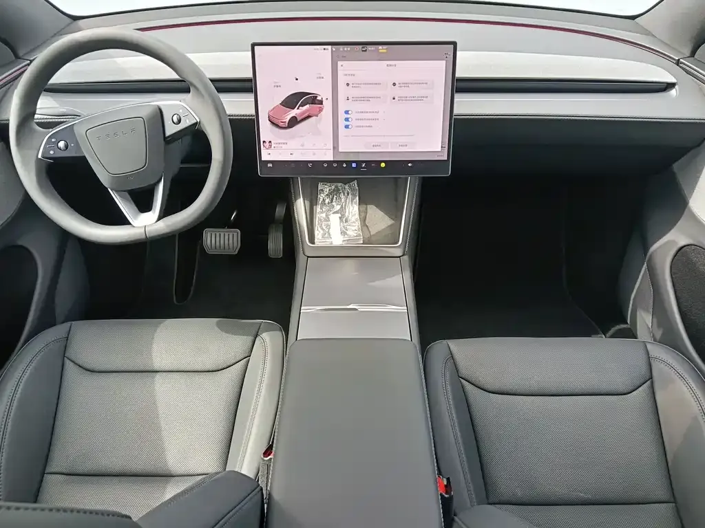 Tesla Model Y — фото 10