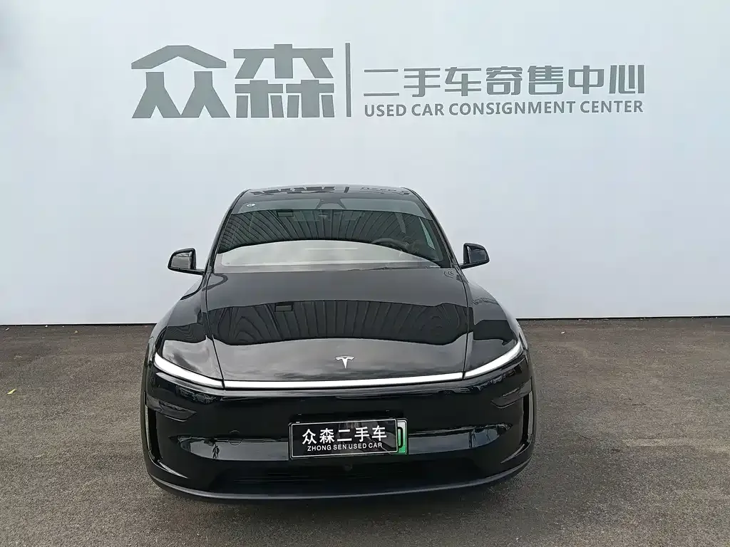 Tesla Model Y — фото 3