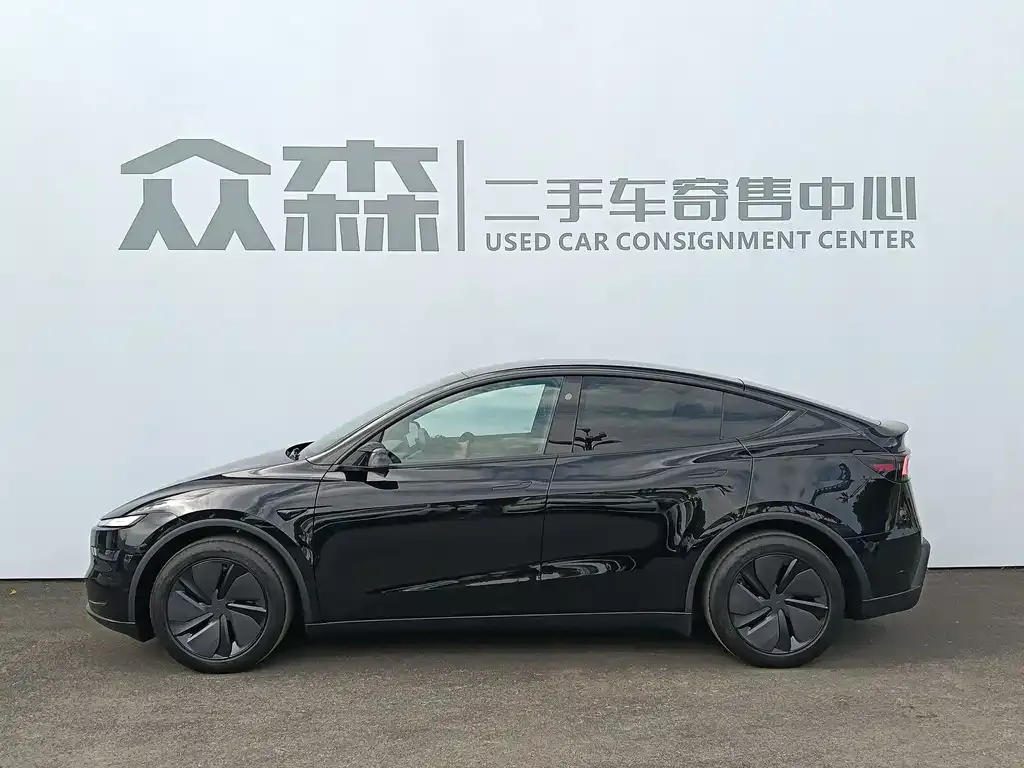 Tesla Model Y — фото 2