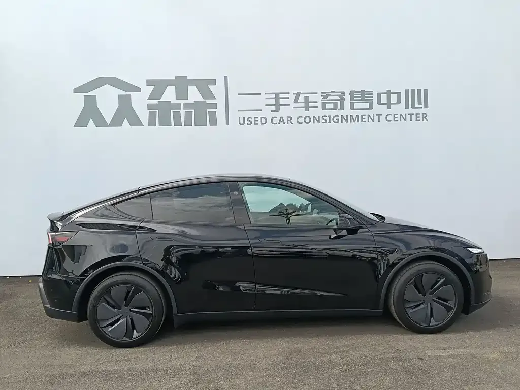 Tesla Model Y — фото 5