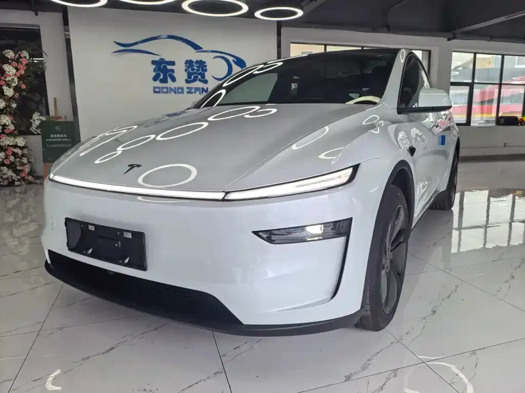 Tesla Model Y — фото 1