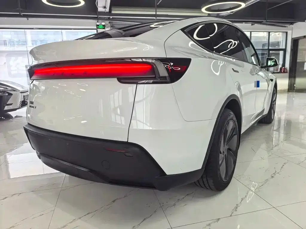 Tesla Model Y — фото 2