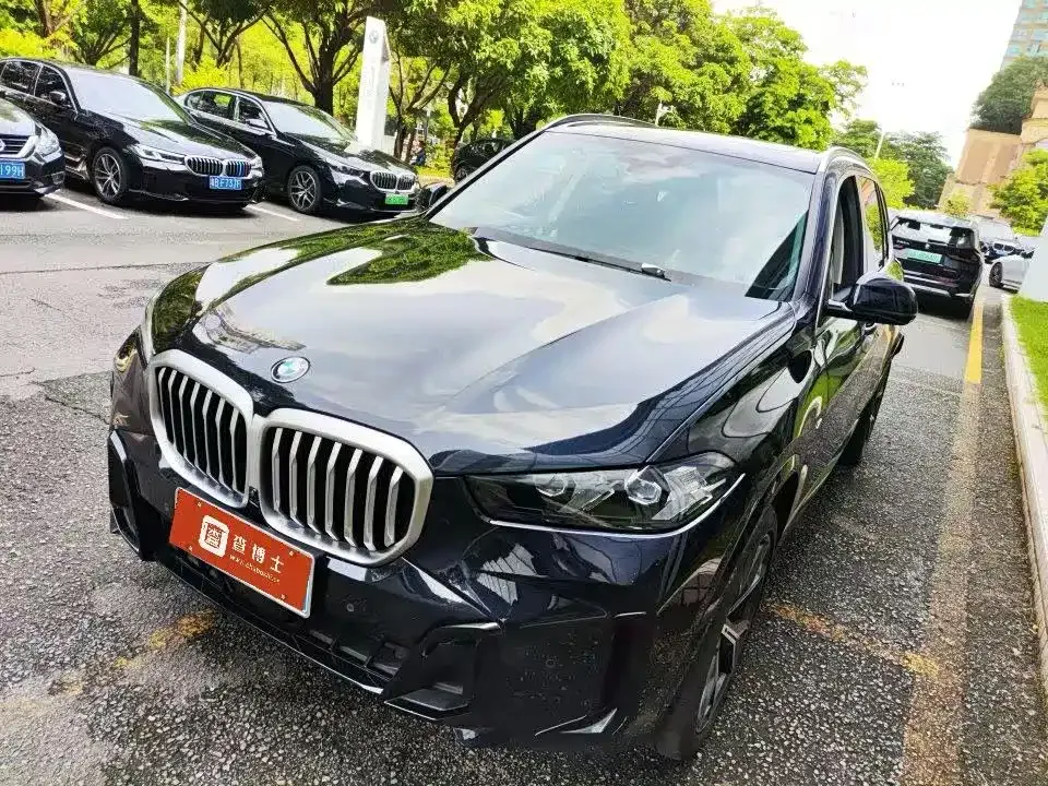 BMW X5 — фото 8