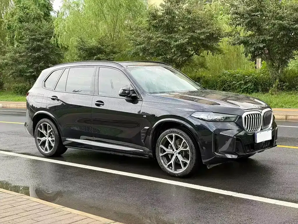 BMW X5 — фото 7