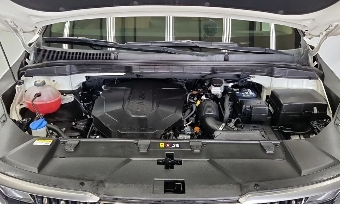 Kia Carnival — фото 10