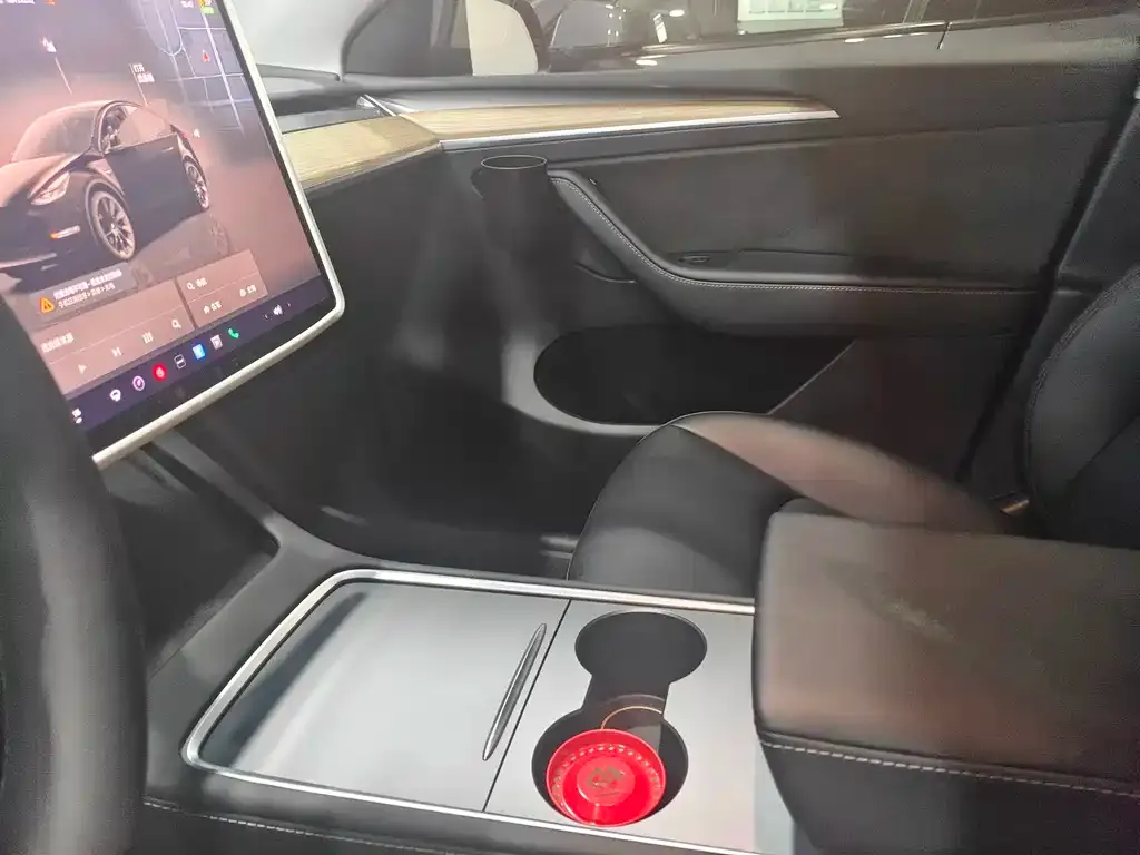 Tesla Model Y — фото 10