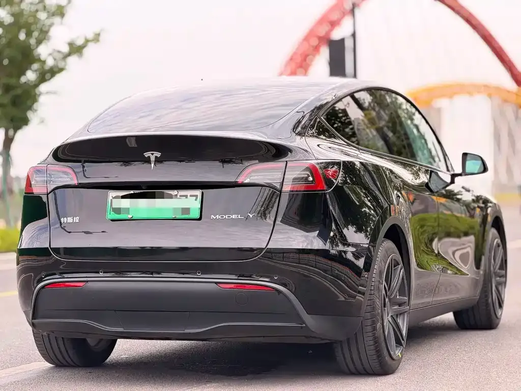 Tesla Model Y — фото 3