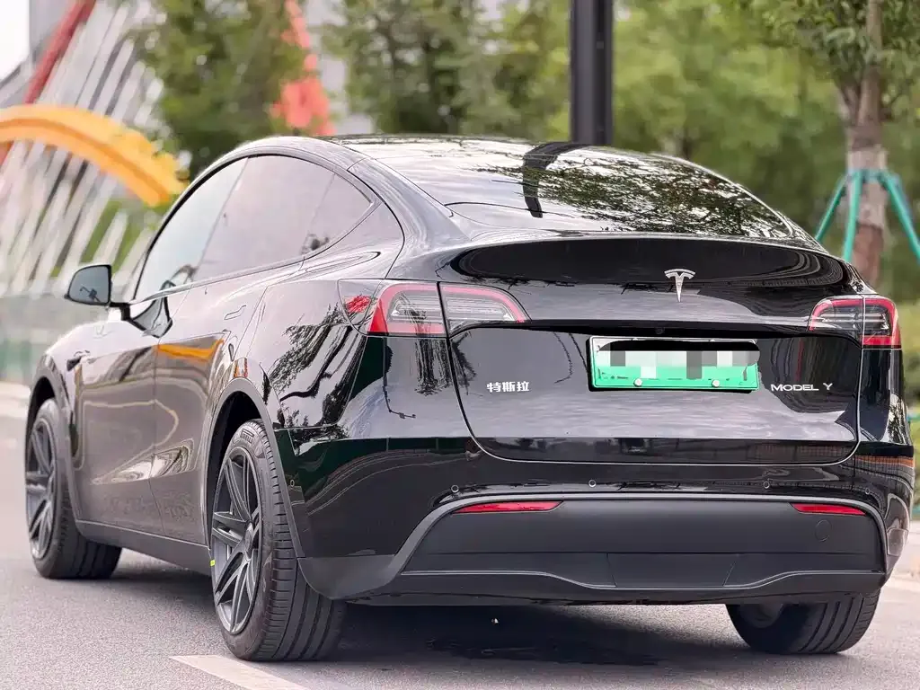 Tesla Model Y — фото 10
