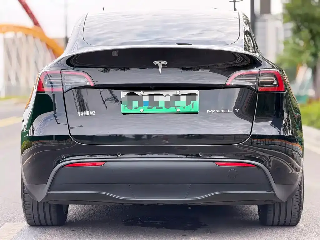 Tesla Model Y — фото 2