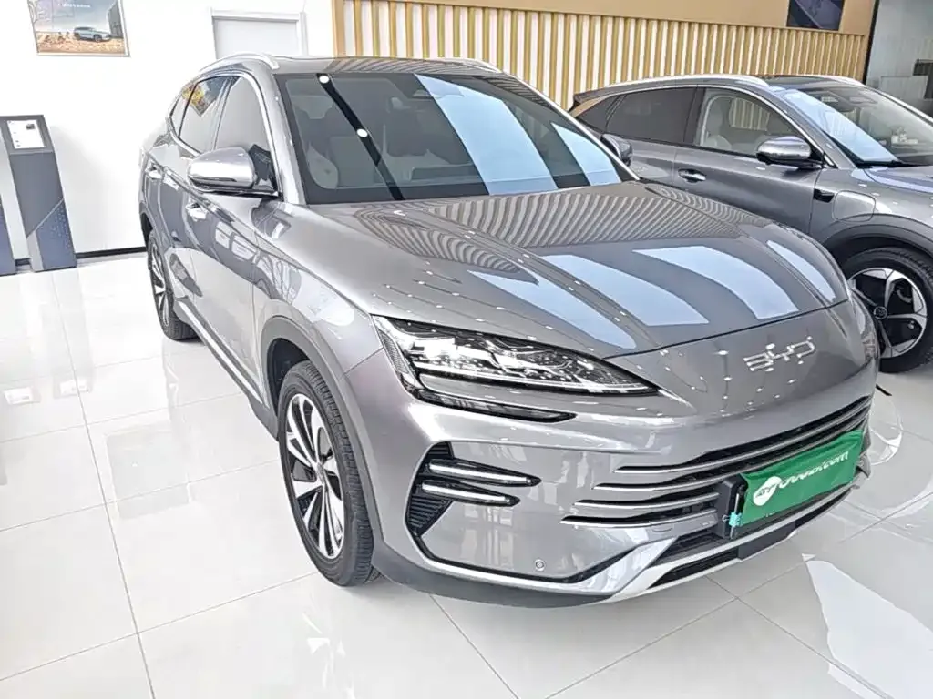 BYD PLUS New Energy — фото 4