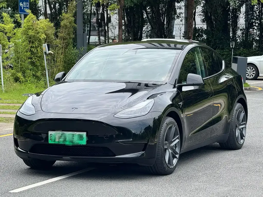 Tesla Model Y — фото 1