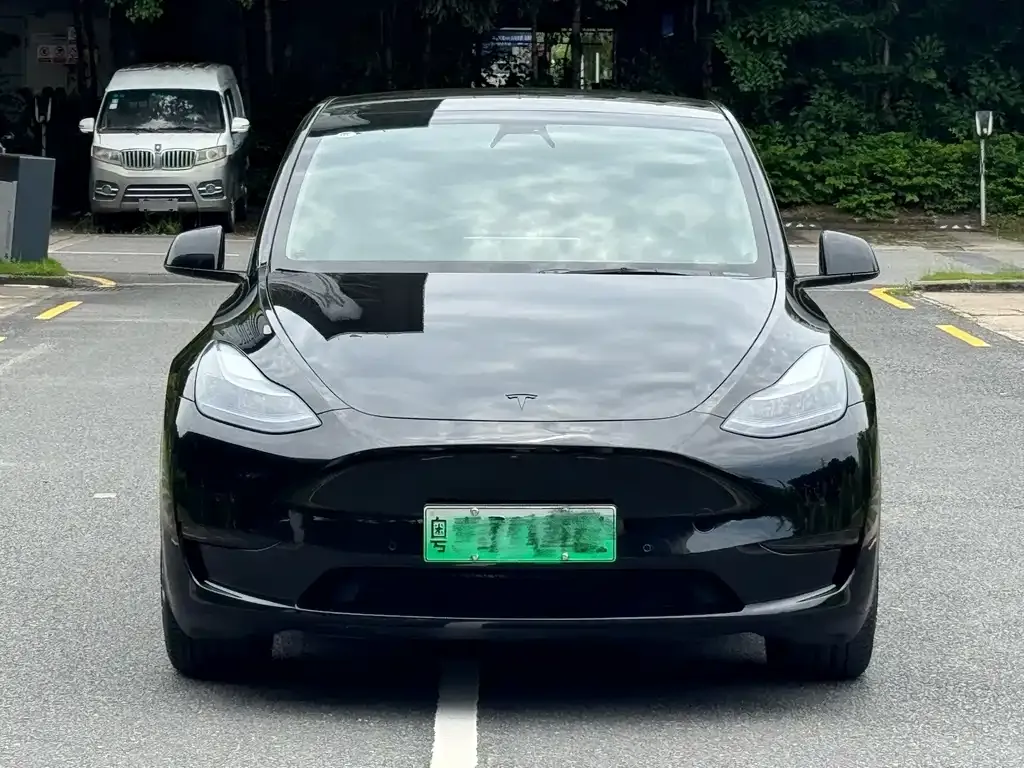 Tesla Model Y — фото 9