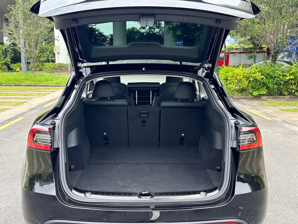 Tesla Model Y — фото 10