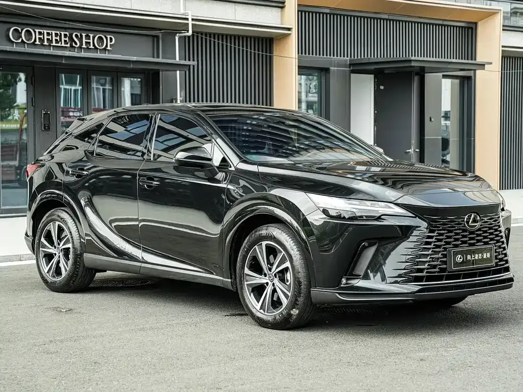 Lexus RX — фото 8