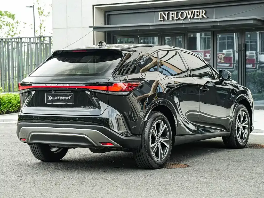 Lexus RX — фото 7